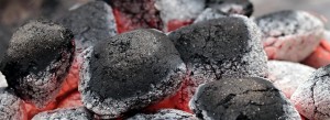 carbón características y propiedades