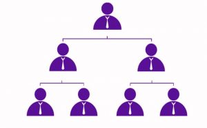 jerarquia en la empresa