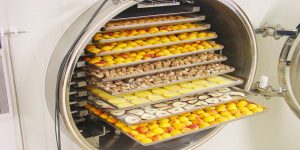 proceso de liofilizacion