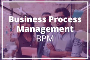 Que es el proceso de dirección de negocios