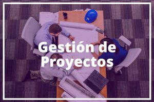 gestión de proyectos