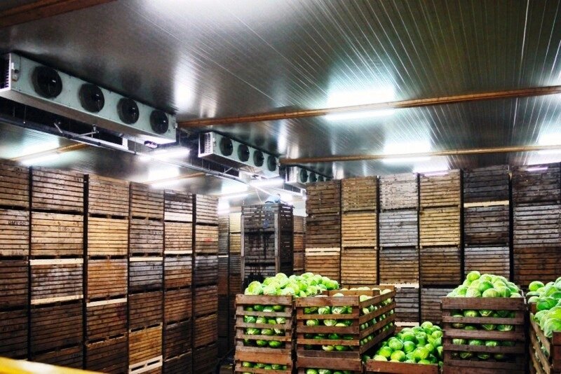 cámaras frigoríficas para frutas
