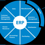 La importancia de un software ERP para adaptarse a la intención de búsqueda y mejorar la gestión empresarial