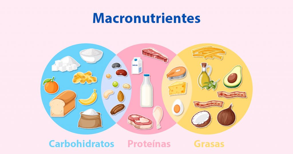Ilustración de los tres macronutrientes: carbohidratos, proteínas y grasas con ejemplos de alimentos.