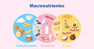 Ilustración de los tres macronutrientes: carbohidratos, proteínas y grasas con ejemplos de alimentos.