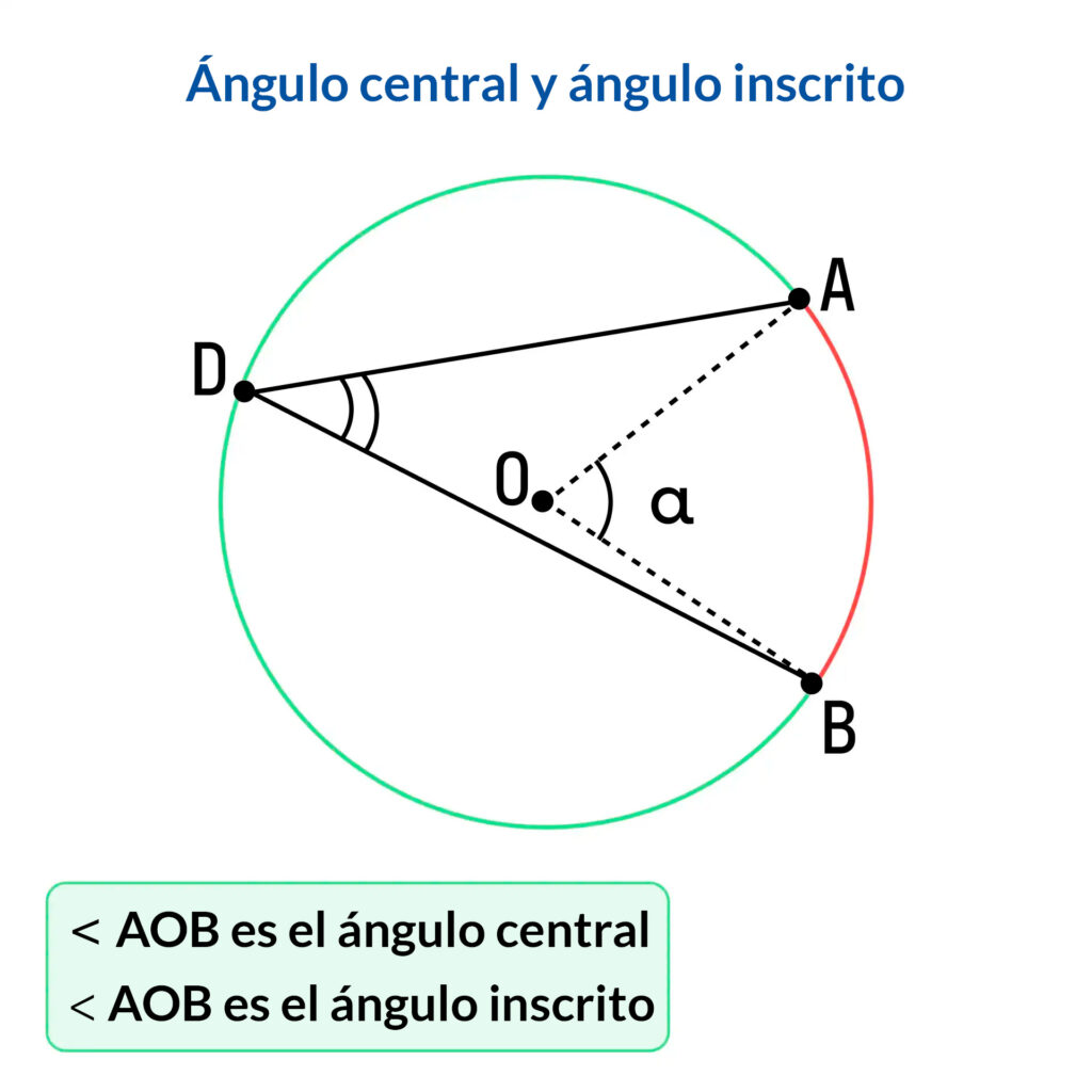 Ángulo central y ángulo inscrito