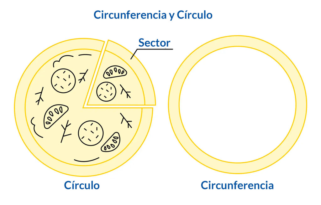 Circunferencia y círculo