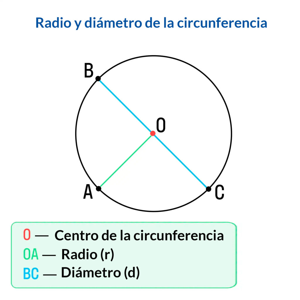Radio y diámetro de una circunferencia