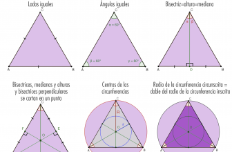 Propiedades de un triángulo equilátero: teoría y ejemplo de un problema